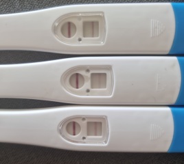 Pregnant 