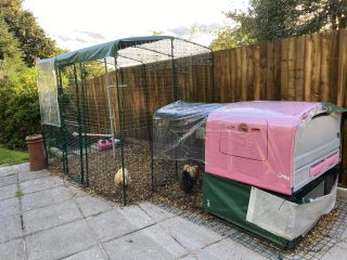Stinky, horrible, waterlogged chicken run - advice / opinions please