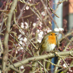 Thread 6 - TalkExiles: "Yup, still round."