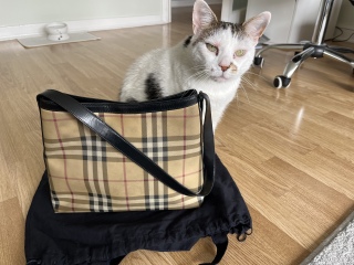 If you love bags- show us your yours! 