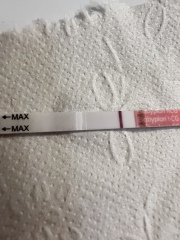 Bbt started to rise again