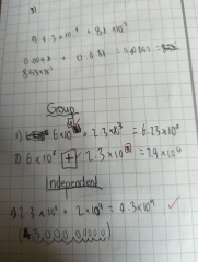 Is this really year 8 maths?