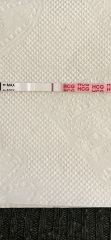 8dpo Vvfl?