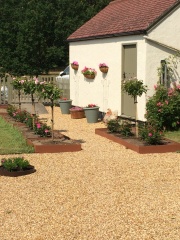 Best sage paint colours