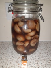 Should I reopen the happy place cafe?