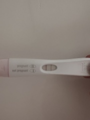 Due November 2023 ✨
