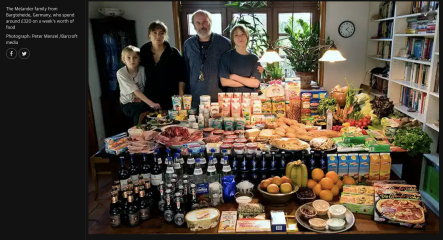 Just had a shock, how much do you spend on groceries a month?