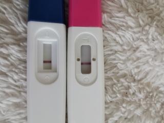 Pregnancy Tests