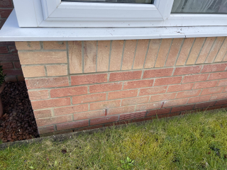 What would you plant here?