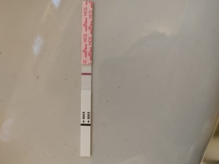 Possible positive pregnancy test