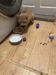My new pal!