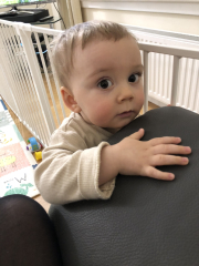 Babies to toddlers (1)