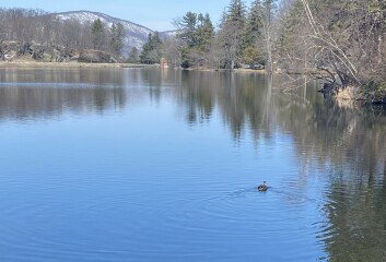 Come and tell me your dull and unexciting news 24: Calmly through the day 