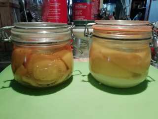 No Gut Biome section yet!: my supermarket Sauerkraut is pasteurised. So pointless!  