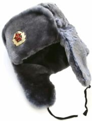 Communist Party UK statement on GRR