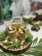 What would you pay for a similar set up for a kid's birthday party?