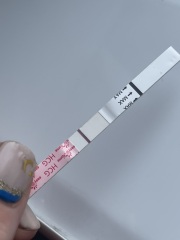 Is there a faint line on my test?