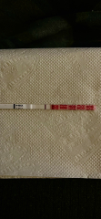 Diarrhea as an early pregnancy symptom?