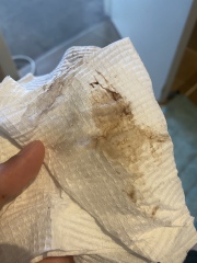 WARNING PIC&TMI implantation bleeding?