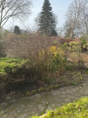 Need help…I want gardening to be something I love 