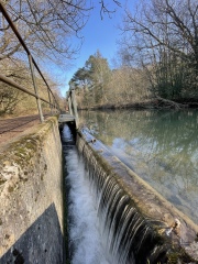 Come chat hiking with me!