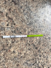 New to OPKs - +ve?