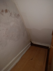 Mysterious damp under the stairs (1920s detached)