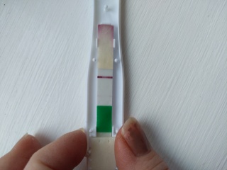 10dpo.evap or faint positive?