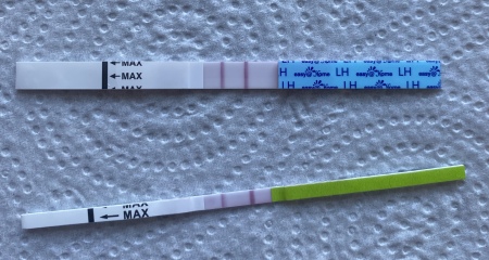 Am I about to ovulate? 