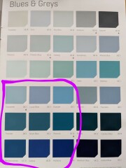 Front door colour - please choose for me!!