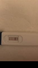 my pregnancy test