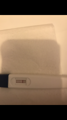my pregnancy test