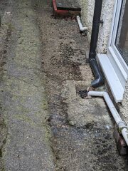 Damp bungalow wall