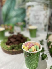 What would you pay for a similar set up for a kid's birthday party?