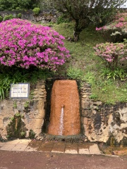 Come and tell me your dull and unexciting news 24: Calmly through the day 