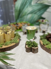 What would you pay for a similar set up for a kid's birthday party?
