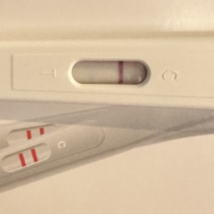 Line eyes please!