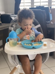 Babies to toddlers (1)
