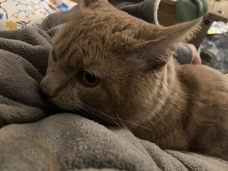 My new pal!