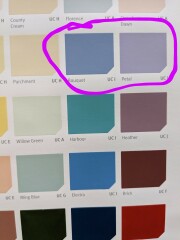 Front door colour - please choose for me!!