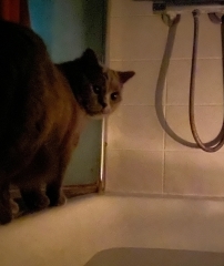 Thread 5 - TalkExiles: "The Planet Goes On Being Round"