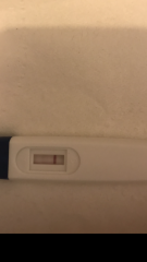 my pregnancy test