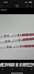 False positives 