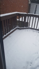 This snow is inadequate 