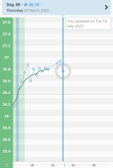 Temp did 4 weeks in... scared of miscarriage
