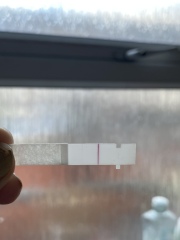 Is this a faint positive/squinter?