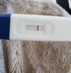 Pregnancy Tests