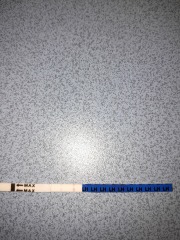 Is this a positive ovulation test? 