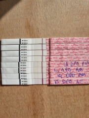 Pregnant after Ectopic! Faint line progression and pain! 