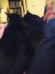 Thread 6 - TalkExiles: "Yup, still round."